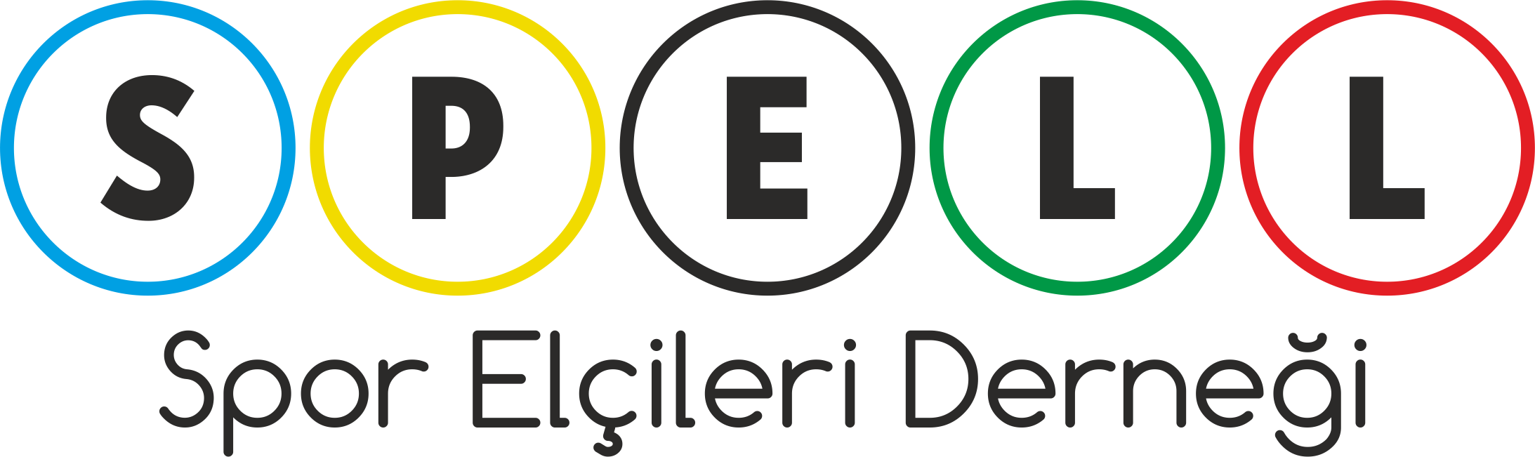 logo Diyarbakir