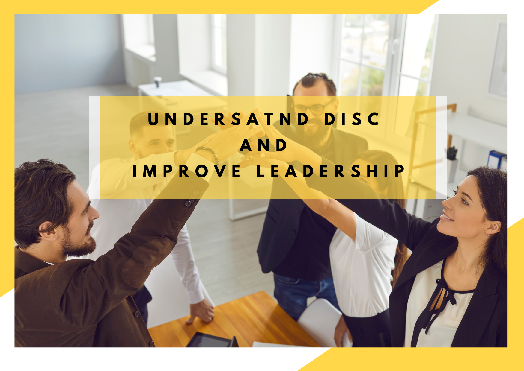 DISC and leadership workteam