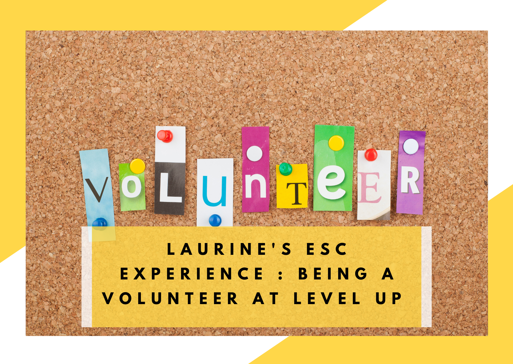 summary ESC volunteer experience