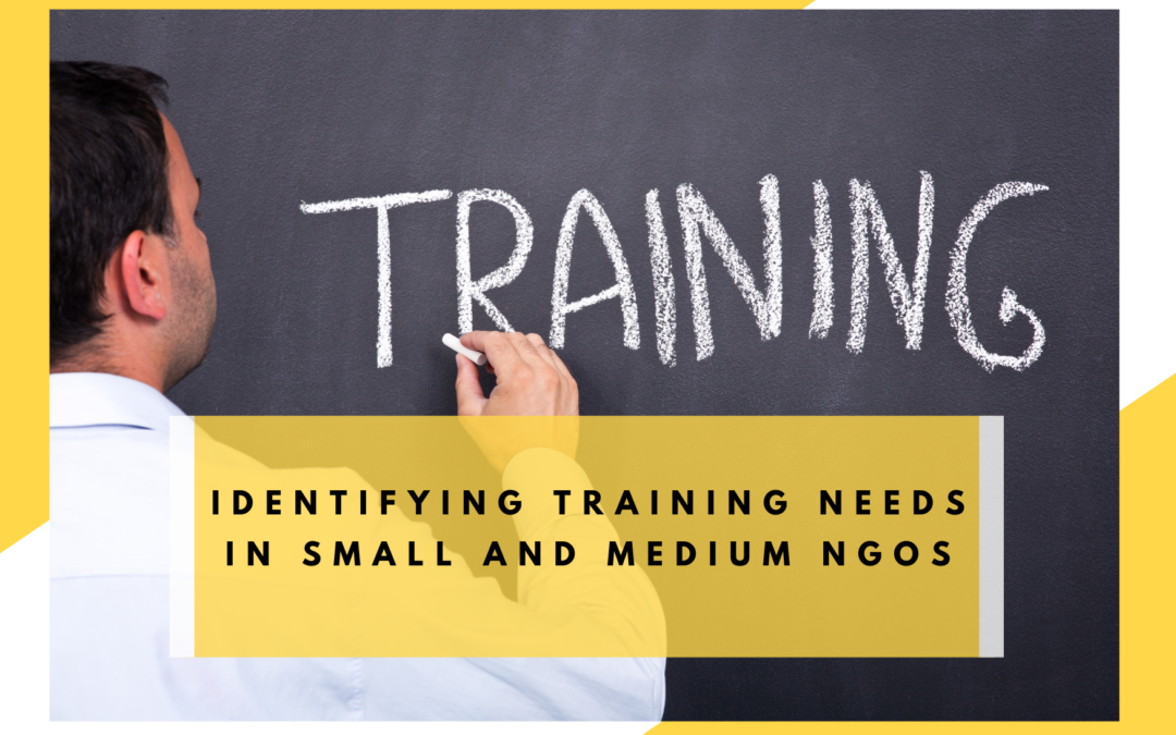 Identifying training needs in small and medium NGOs
