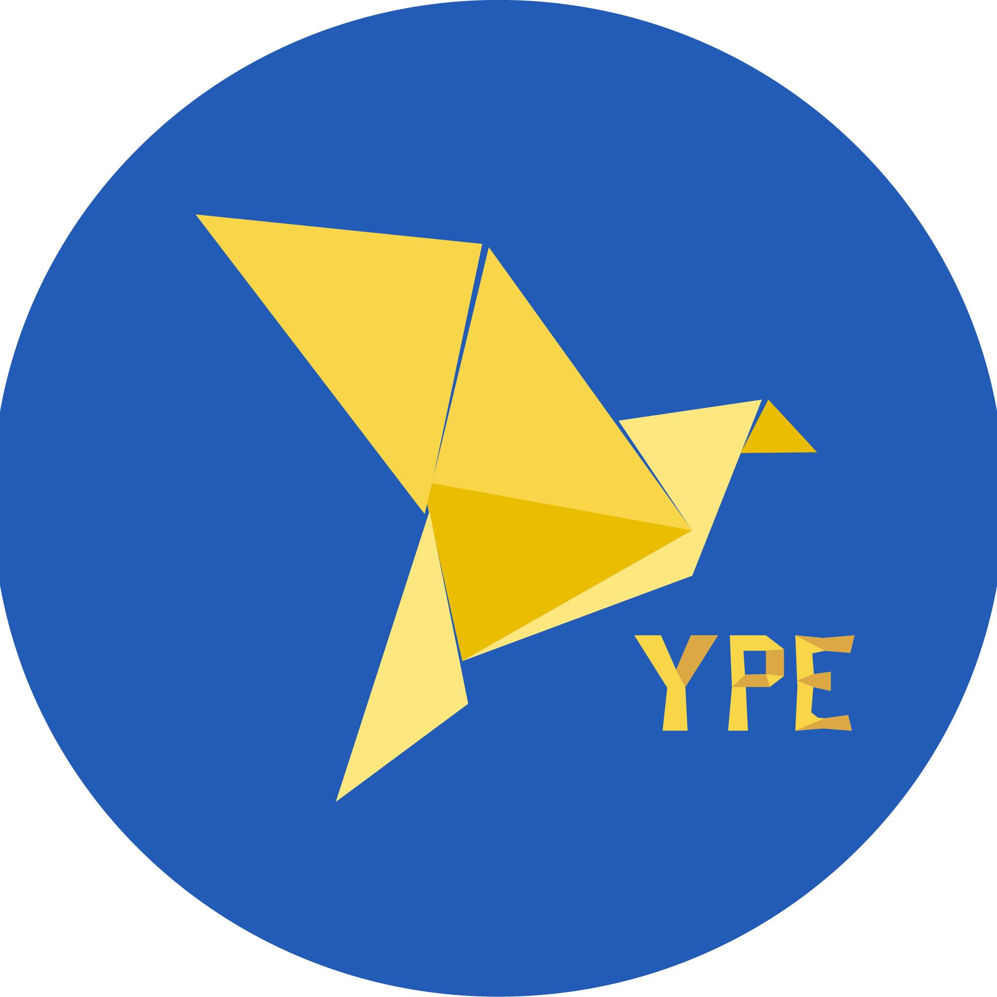 Logo Youth for the peace and equality
