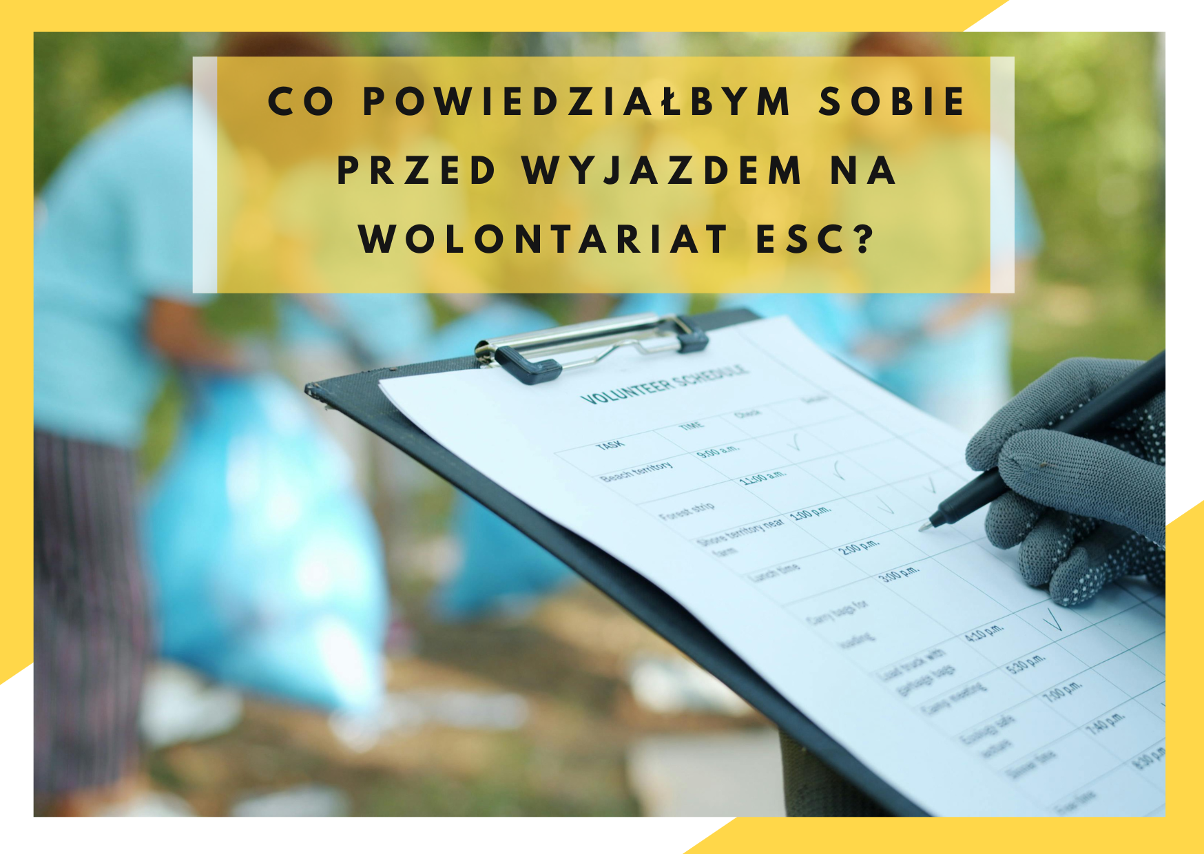 wolontariat esc