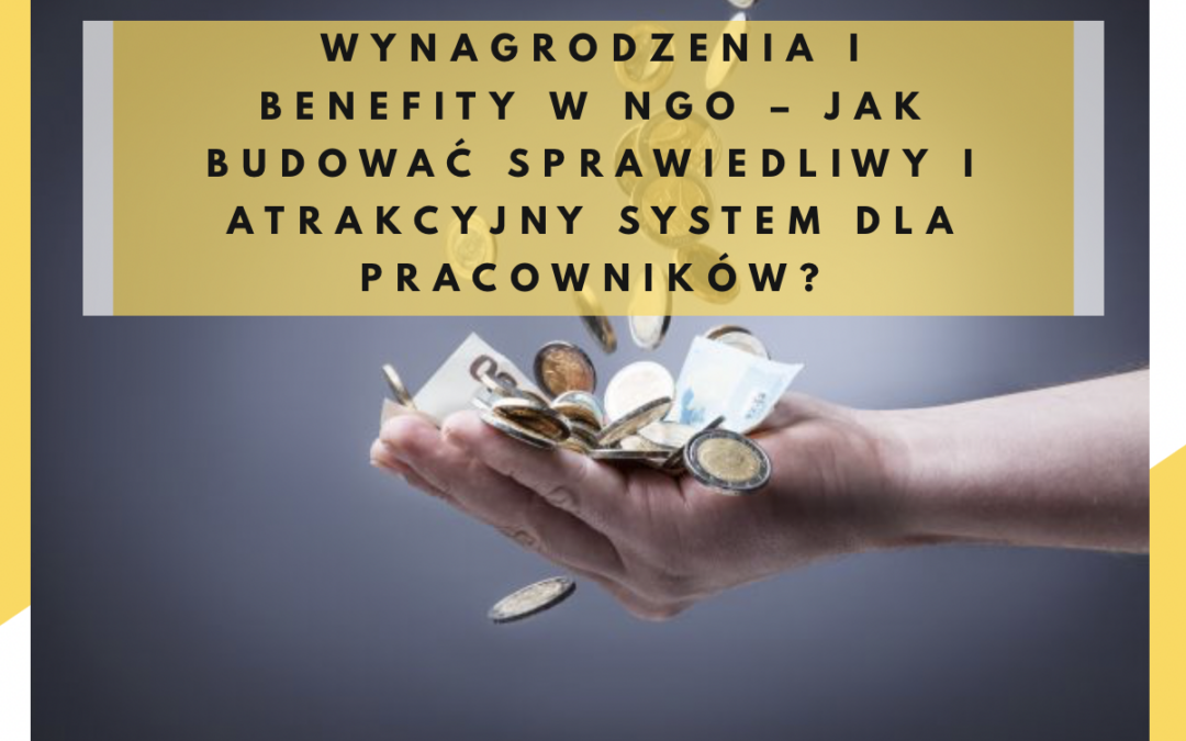 Wynagrodzenia i benefity w NGO – jak budować sprawiedliwy i atrakcyjny system dla pracowników?